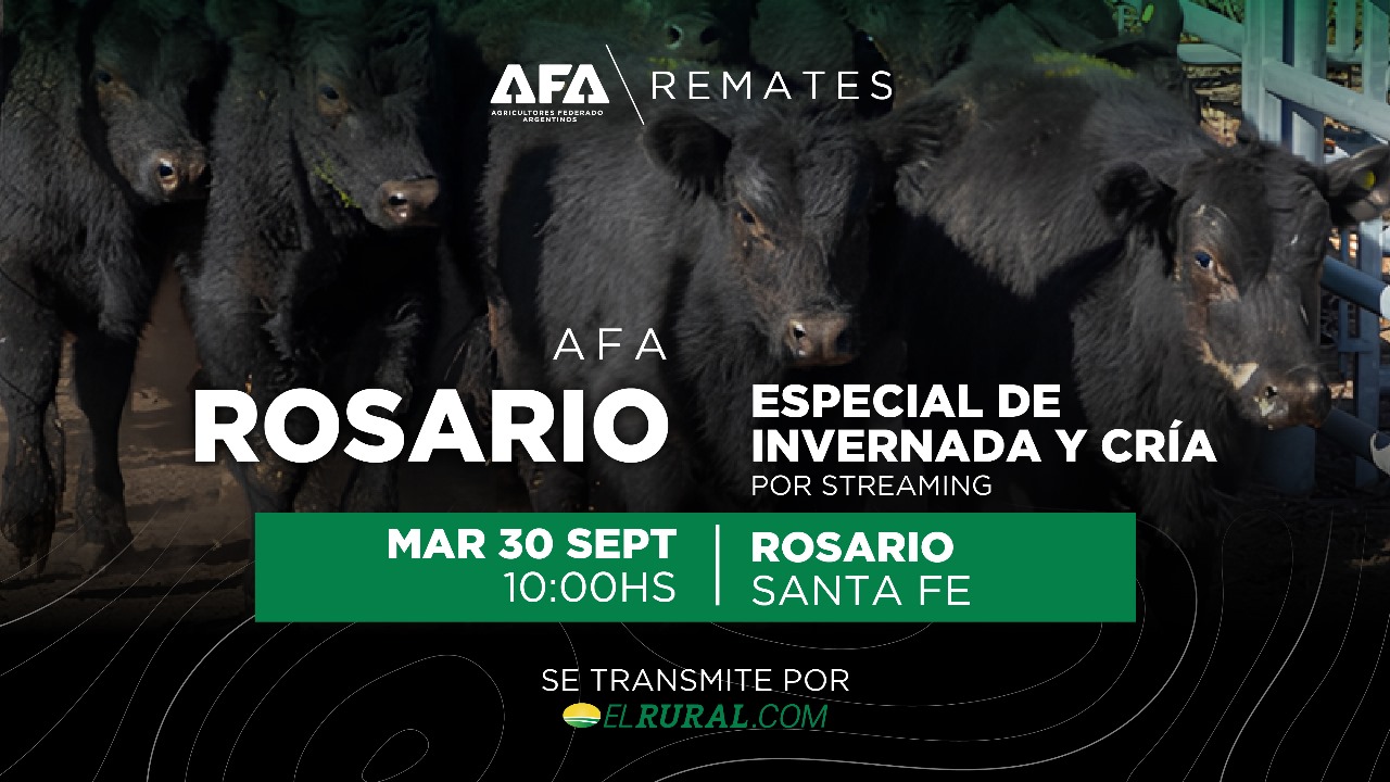 Remate